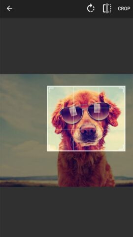 Photo Resizer (Фото размер) для Android — скриншот 3
