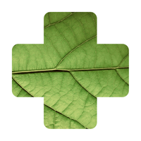 Определитель растений травник для iOS