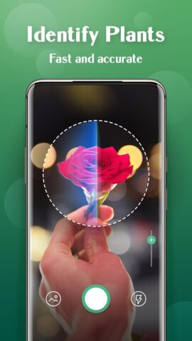 Plant Lens Plant identifier для Android — скриншот 2