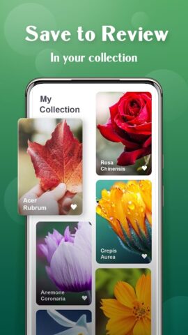 Plant Lens Plant identifier для Android — скриншот 4