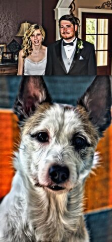 Portrait Painter для iOS — скриншот 3