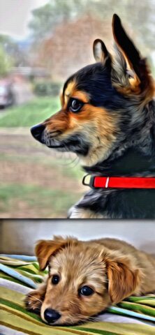 Portrait Painter для iOS — скриншот 4