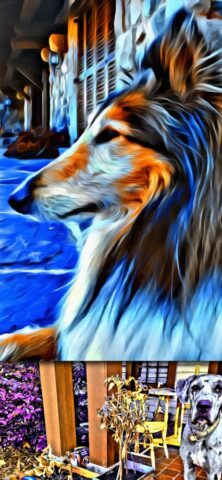 Portrait Painter для iOS — скриншот 5