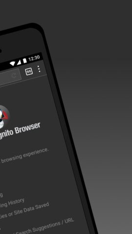 Браузер Puffin Incognito для Android — скриншот 2