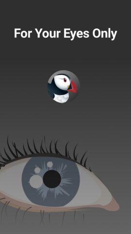 Браузер Puffin Incognito для Android — скриншот 5