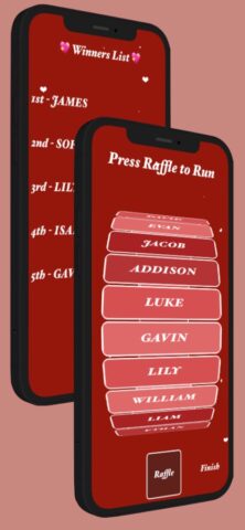 Raffle Pro для iOS — скриншот 3