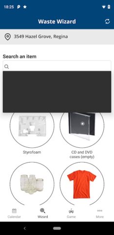 Regina Waste для Android — скриншот 4