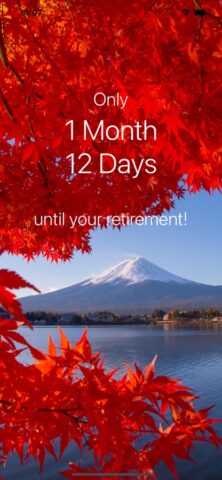 Retirement Countdown · для iOS — скриншот 1