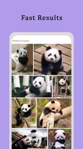 обратный поиск изображений для Android — скриншот 2