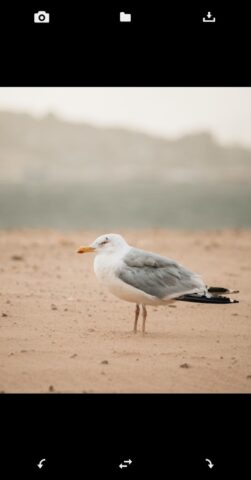 Перевернуть + повернуть фото для Android — скриншот 1