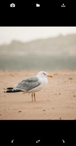 Перевернуть + повернуть фото для Android — скриншот 2