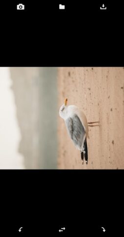 Перевернуть + повернуть фото для Android — скриншот 3