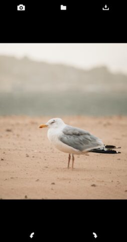 Повернуть изображение для Android — скриншот 1