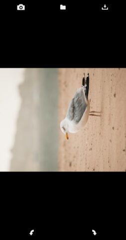 Повернуть изображение для Android — скриншот 2