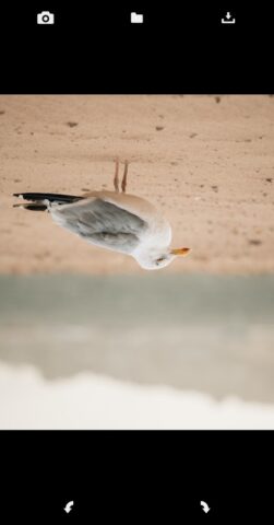 Повернуть изображение для Android — скриншот 3