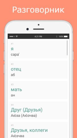 Русско-абхазский разговорник для Android — скриншот 2