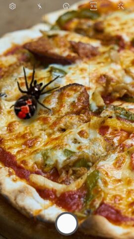 Spider filter prank для Android — скриншот 2