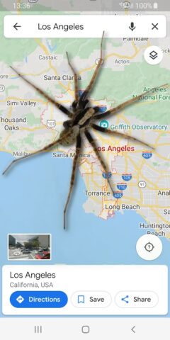 Паук в телефоне Весёлая Шутка для Android — скриншот 2