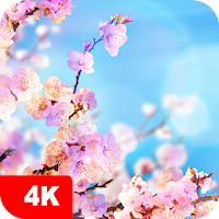 Весенние обои | Весна от 7Fon для Android