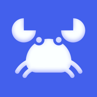 Storm Sniffer — Packet Capture для iOS