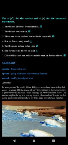 TN 6th English Guide для Android — скриншот 4