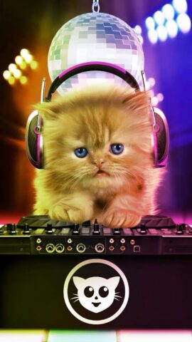 Talking baby cat. Talking game для Android — скриншот 2