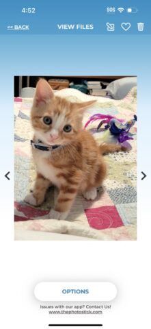 ThePhotoStick Omni для iOS — скриншот 5