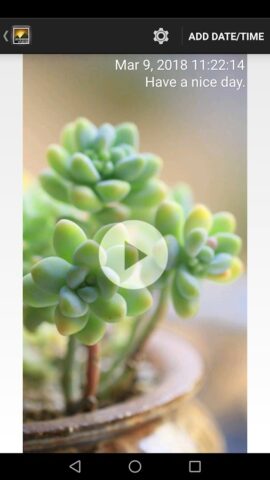 Timestamp Photo and Video для Android — скриншот 1