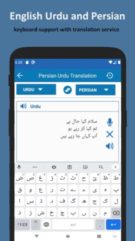 Persian to Urdu Translate для Android — скриншот 4