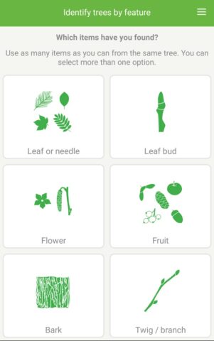 Tree ID — British trees для Android — скриншот 2