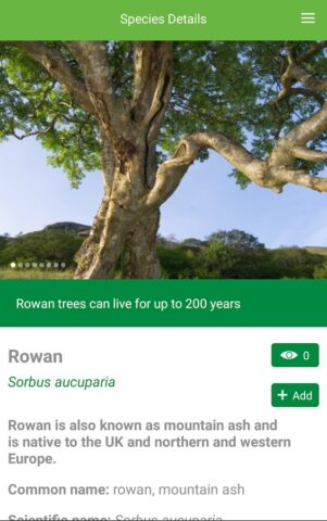 Tree ID — British trees для Android — скриншот 4
