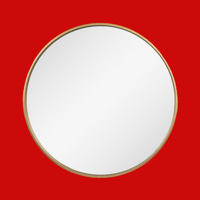 Настоящее зерка (True Mirror!) для iOS