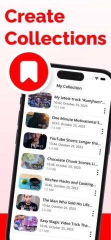 Video Saver : Video Downloader для iOS — скриншот 2