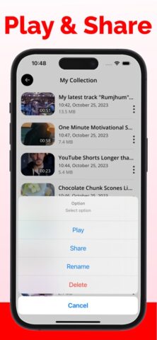 Video Saver : Video Downloader для iOS — скриншот 4