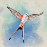 WINGSPAN (КРЫЛЬЯ) для iOS