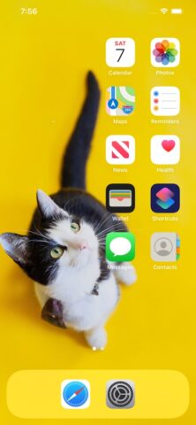 ・ (Yidget) для iOS — скриншот 1