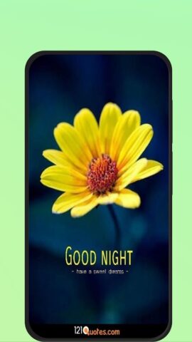 Good Night Flowers для Android — скриншот 3
