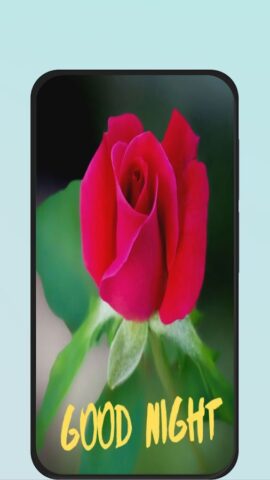 Good Night in Rose для Android — скриншот 1