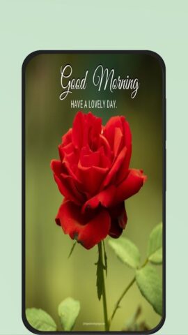 Rose Flower Pic для Android — скриншот 5