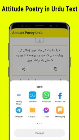 Attitude Poetry in Urdu Text для Android — скриншот 3