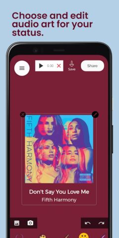 Audio Status Maker — скриншот 3