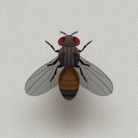 CAT ALONE — Cat Toy для iOS