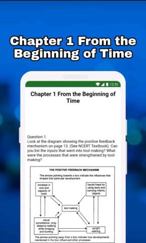 Class 11 History Notes & MCQs для Android — скриншот 5