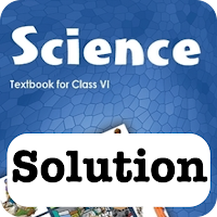 Class 6 NCERT Science Solution для Android