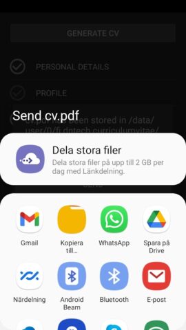 Curriculum Vitae для Android — скриншот 5