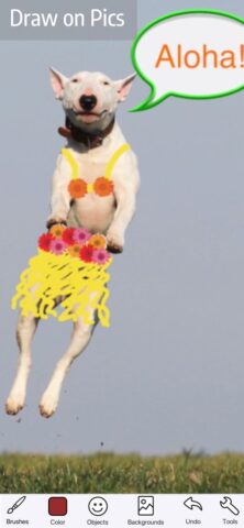 Doodle Buddy Paint Draw App для iOS — скриншот 1