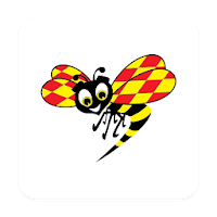 Expressen Nyheter для Android