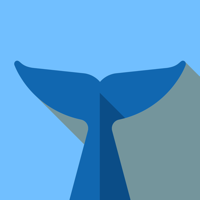 Flipper — Зеркальные Эффекты для iOS