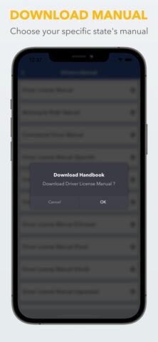 Florida DMV HSMV Driving Test для iOS — скриншот 4