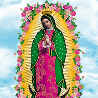 Fondos Virgen de Guadalupe для Android